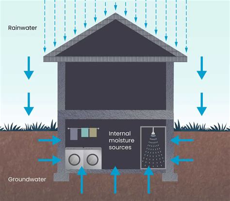 basement moisture meter|high moisture level in basement.